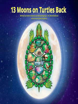 cover image of 13 Moons on Turtles Back